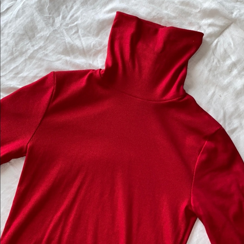 Red Ribbed Turtle Neck - Picture 2 of 2